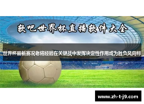 世界杯最新赛况老将经验在关键战中发挥决定性作用成为胜负风向标