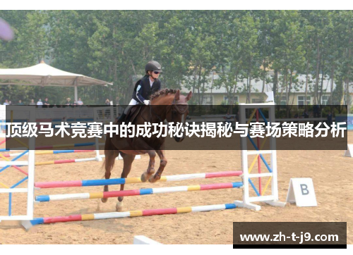 顶级马术竞赛中的成功秘诀揭秘与赛场策略分析