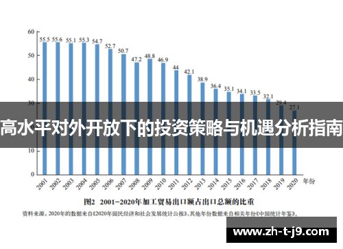 高水平对外开放下的投资策略与机遇分析指南